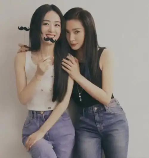 好闺蜜,李冰冰出力撮合赵丽颖资源,粉丝直呼冰糖雪丽