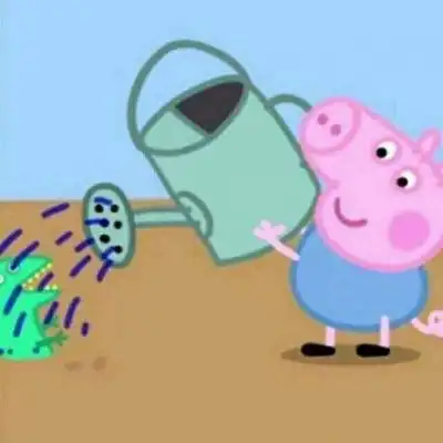 小猪乔治头像可爱图片小猪佩奇情侣头像一对