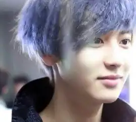 蓝发美少年朴灿烈