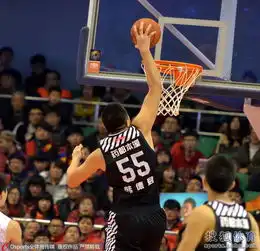 组图山东主场迎战辽宁比斯利硬抗白魔兽上篮