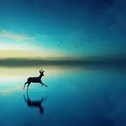 有一种智慧叫变通