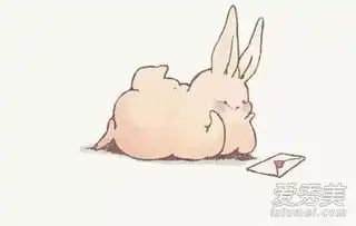 属兔男和什么属相最配属兔女和什么属相最配