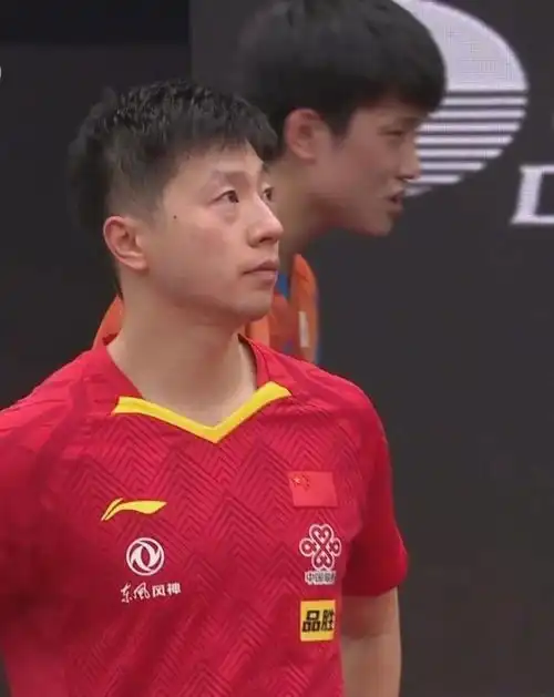 先给张本智和上课,后让樊振东成长,中国男乒不能缺少马龙队长
