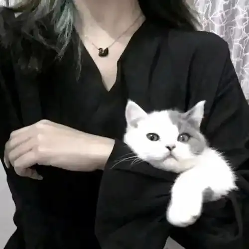 女生头像伤感头像黑白头像女生背影头像第166期