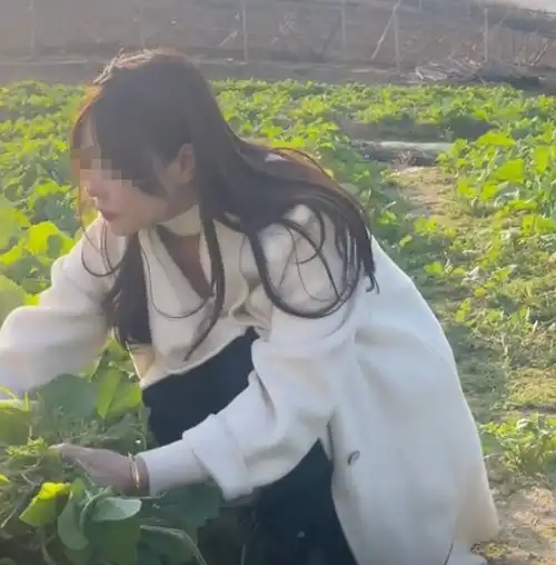 回顾28岁女子相亲大8岁男子,开口就要50万彩礼我值这个价