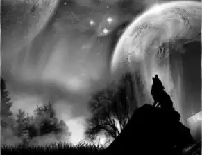 寻找一张图片,关于月圆之夜