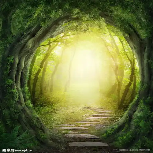 森林小路设计图自然风光