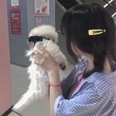 苏瓷对象不是人系列唯美可爱微信头像我要个性网