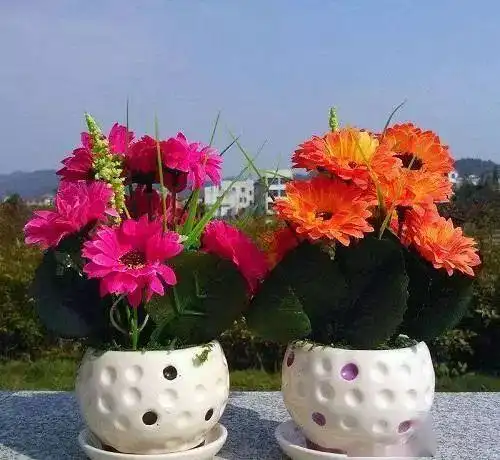 立春后养3种富贵花,养在家里转运招财,新的一年好兆头