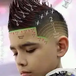 发型师曝光男士发型修剪结构图,堪称工程图啊