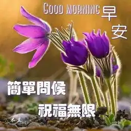 早晨安好惟有朋友,始终陪在左右,祝快乐每一天,早晨好