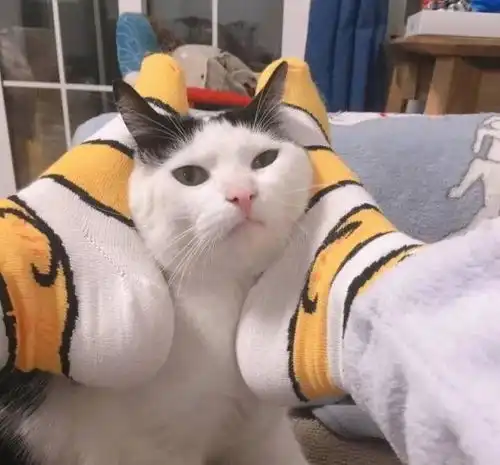 超隐蔽的情头低调秀恩爱的cp网名