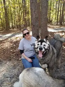 秋田犬患罕见病容貌大变,微笑和病魔斗争3年,乐观精神让人落泪