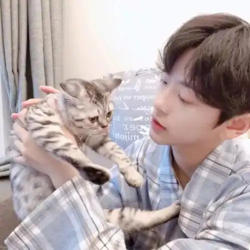 男生头像喜欢是每个人都有的天分,而爱你是我独有的天份生活