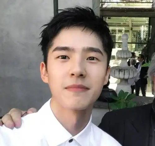 第一眼丑,越看越帅的男星,刘昊然上榜,最后一位是当红的他