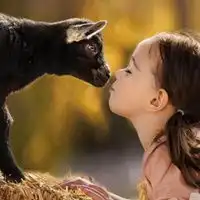 小孩子亲吻头像kiss,给你一个吻