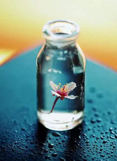 早安简短励志语录早安励志经典一句话