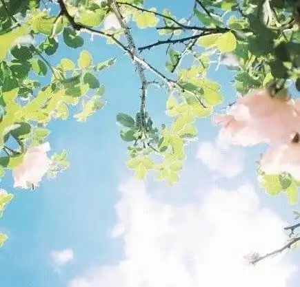 越优秀的人,越懂得舒服待人深度好文