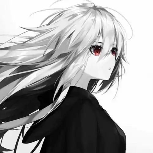 高冷系动漫女头