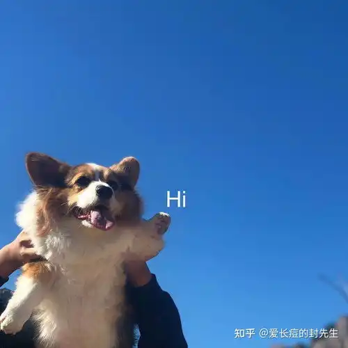 很多人口中的迷茫期到底是什么