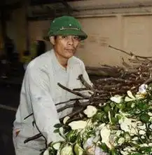 越南男人为何那么爱戴绿帽子组图新浪重庆旅游