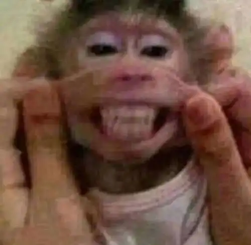 轻松一刻为争先有鸡还是先有蛋,他俩往死里干