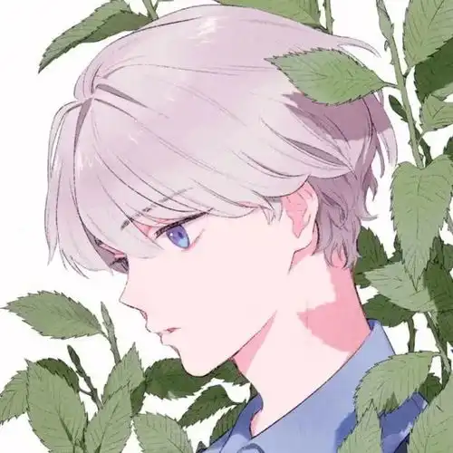 小众动漫男头手绘风帅气男生头像插画