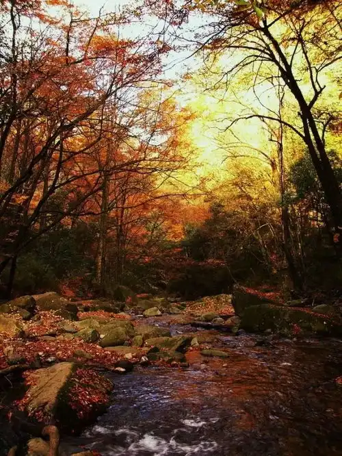 这些地方现在美疯了有你想去的地方吗