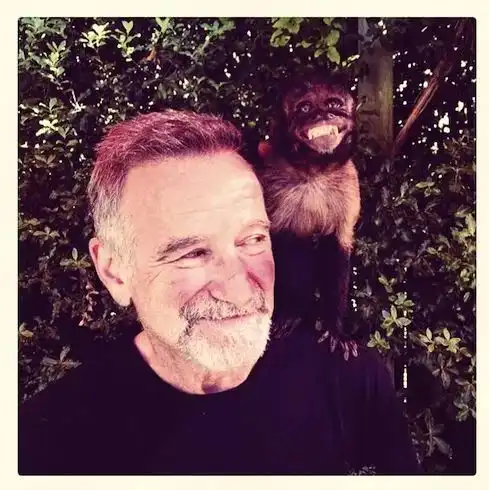 新片推荐1995年最卖座的探险片,续作拖到今天才上映