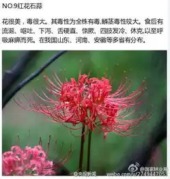 可怕小孩咬了一口就住进医院重症监护室你家养的这种常见植物有毒