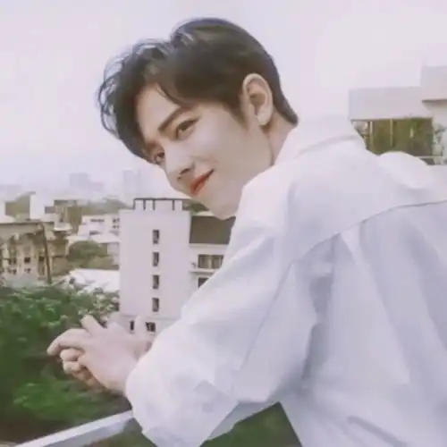 粉丝专属,肖战王一博微信头像