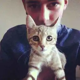 谁有带猫的情头