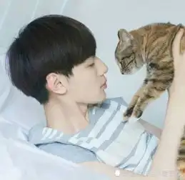 初中生,80男生偷偷做过的3件事,都是回忆,看你中几个