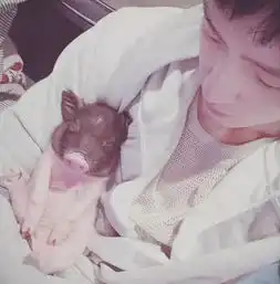 作为一名都市丽人,甩的了渣男,我就分的了垃圾