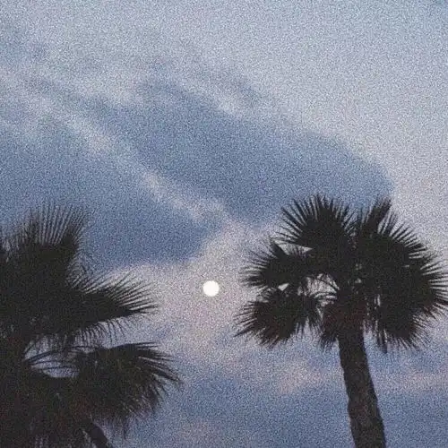 那些艰难的日子终究会离你而去