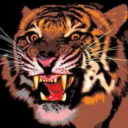 我现在这几天,我就是感觉我的关节有些不舒服了,一到阴天下雨的时候更加难受了,有了类风湿有没有哪些保健的办法