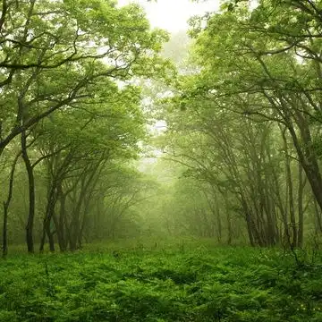 全站相册标签giam