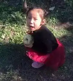 沈阳自闭症小女孩走失家长急疯求转发