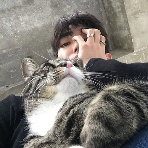 高级感的男生头像