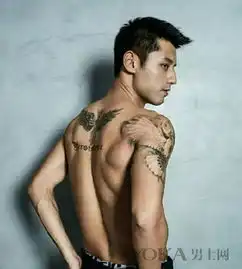 吴建豪助阵balmain男装秀低胸t恤秀健硕胸肌