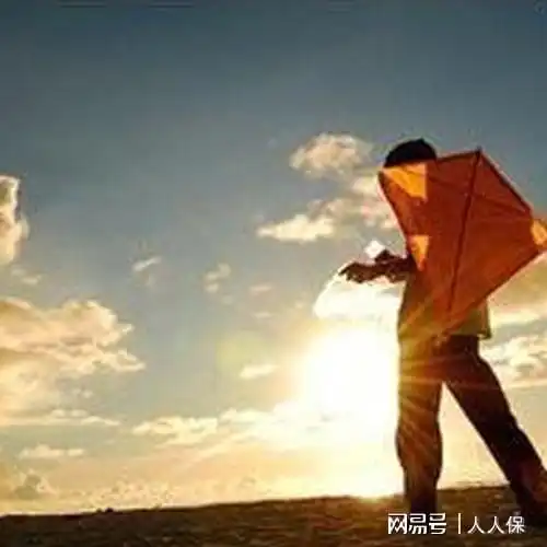 深圳自己交社保一月要交多少钱