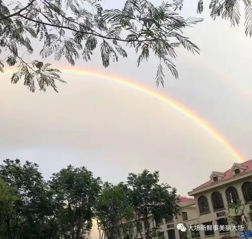 小主们手机有木有被今天的彩虹刷屏啊没看到彩虹的进来看看图片吧