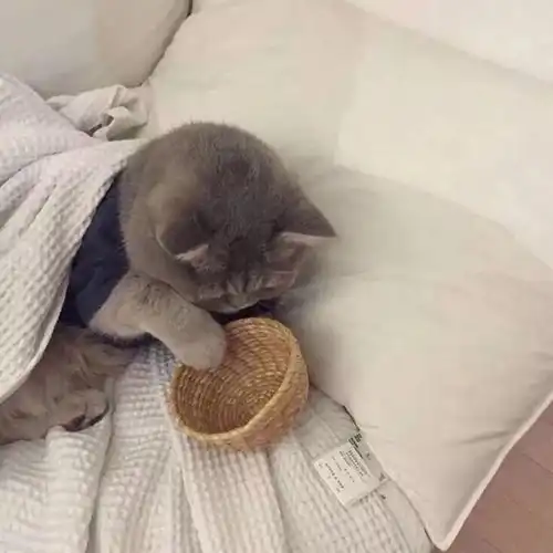 头像壁纸思来想去,全都是你