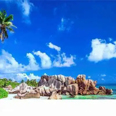 澳门正版资料免费公开