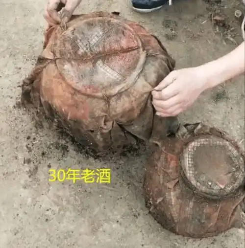 深埋30年的酒坛挖出疑被小蛇喝光,男子现场看见神奇一幕
