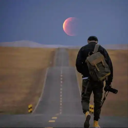 被孤独拉满的头像