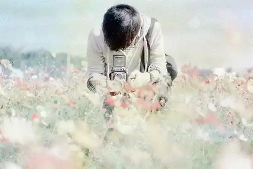 寂寞先生,你好吗