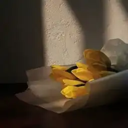头像壁纸天气晴朗,只想大笑