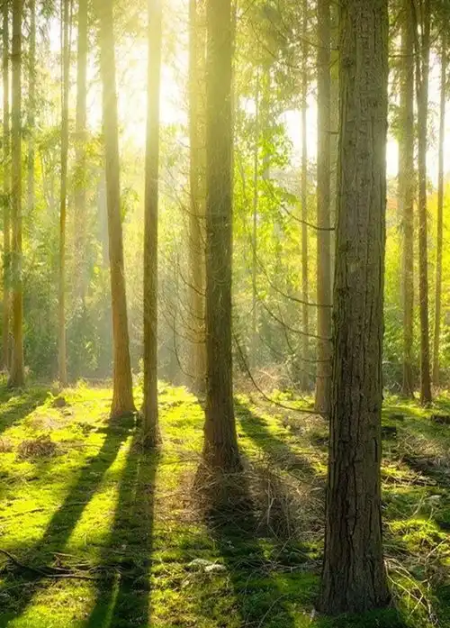 把夏天装进钧瓷里