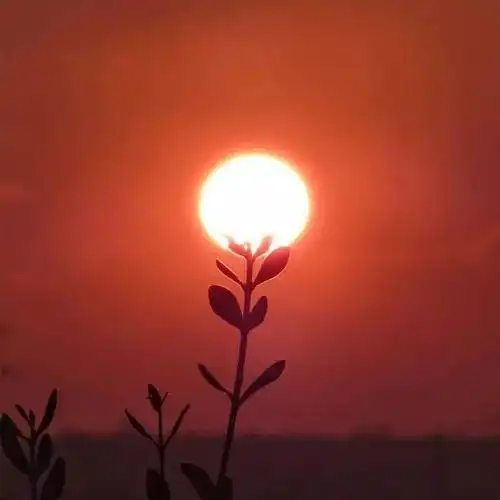 男生头像,成熟男士专用微信头像